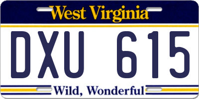 WV license plate DXU615