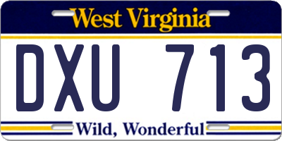 WV license plate DXU713