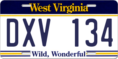 WV license plate DXV134