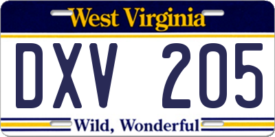 WV license plate DXV205