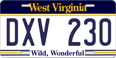 WV license plate DXV230