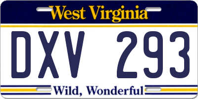 WV license plate DXV293