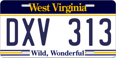WV license plate DXV313