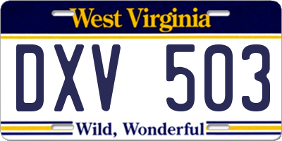 WV license plate DXV503