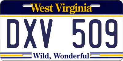 WV license plate DXV509