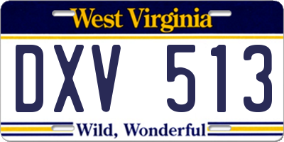 WV license plate DXV513