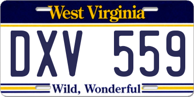 WV license plate DXV559
