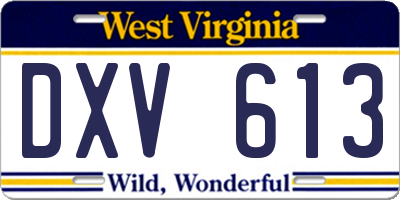 WV license plate DXV613
