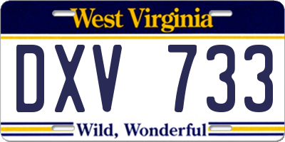 WV license plate DXV733