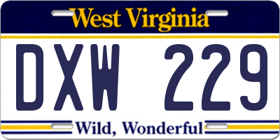 WV license plate DXW229