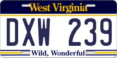 WV license plate DXW239