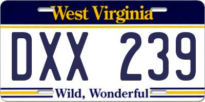 WV license plate DXX239