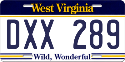 WV license plate DXX289