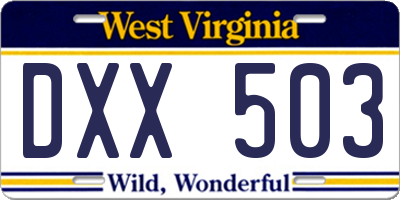 WV license plate DXX503