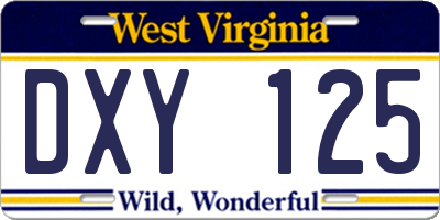WV license plate DXY125