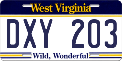 WV license plate DXY203