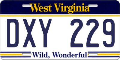 WV license plate DXY229