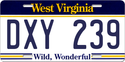 WV license plate DXY239