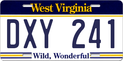 WV license plate DXY241