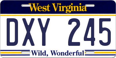 WV license plate DXY245