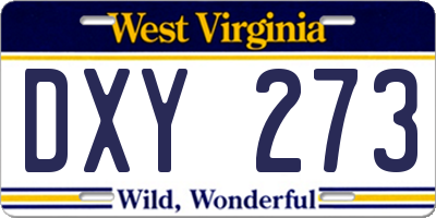 WV license plate DXY273