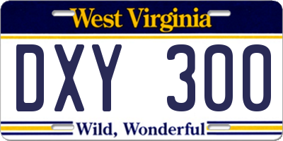 WV license plate DXY300
