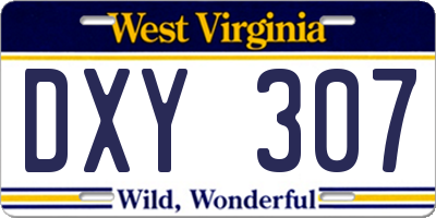 WV license plate DXY307
