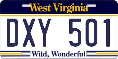 WV license plate DXY501