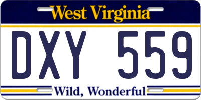 WV license plate DXY559