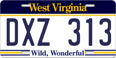 WV license plate DXZ313