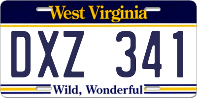 WV license plate DXZ341