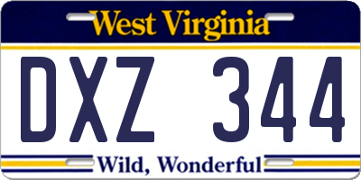 WV license plate DXZ344
