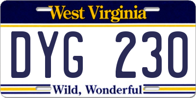 WV license plate DYG230