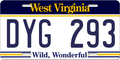 WV license plate DYG293