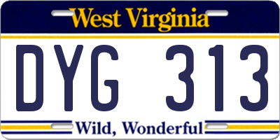 WV license plate DYG313