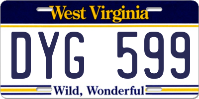 WV license plate DYG599