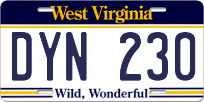 WV license plate DYN230