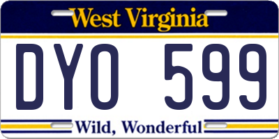 WV license plate DYO599