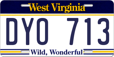 WV license plate DYO713