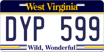 WV license plate DYP599