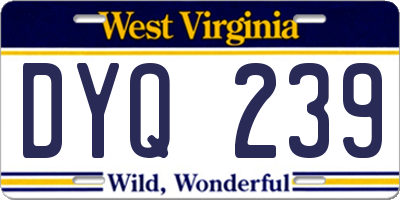 WV license plate DYQ239