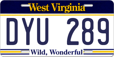 WV license plate DYU289