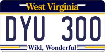 WV license plate DYU300