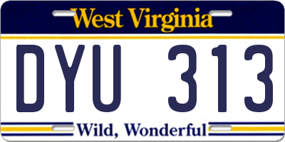 WV license plate DYU313