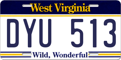 WV license plate DYU513