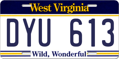 WV license plate DYU613