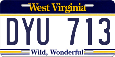 WV license plate DYU713