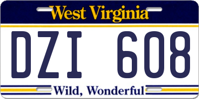 WV license plate DZI608