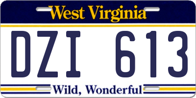 WV license plate DZI613
