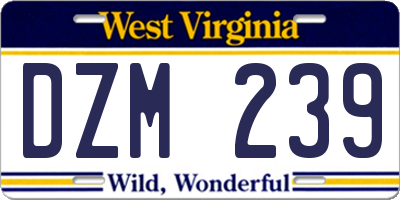 WV license plate DZM239